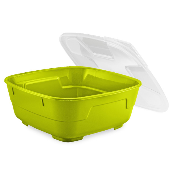 GoodBowl Big, set of 5 bowls